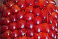 Heirloom Organic Strawberry Ruby Corn Seeds | Deep Red Popcorn Kernels | Non-GMO, Decorative & Edible Popcorn Seeds