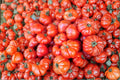 Heirloom Beefsteak Tomato Seeds – Large Juicy Slicing Tomatoes, Indeterminate, Non-GMO, 120+ Seeds