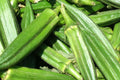 Clemson Spineless Okra Seeds - Heirloom Non-GMO Garden Vegetable, High Yield, Green Pods, 100+ Seeds