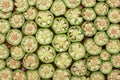 Emerald Okra Seeds Heirloom Non-GMO Spineless Pods High Yield Heat Tolerant Vegetables