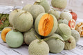 Hales Jumbo Cantaloupe Seeds - Heirloom, Non-GMO, High Yield Melon (50+) - Large Sweet Orange Flesh, Summer Garden Fruit
