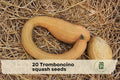 Tromboncino Squash Seeds – Cucurbita moschata, Edible Climbing Vine, Long Curved Shape, Summer & Winter Vegetable Seeds