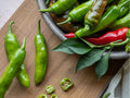 Pepperoncini Seeds – 25 Count, Mild Italian Pickling Pepper, Capsicum annuum, for Garden, Container, or Raised Bed Cultivation