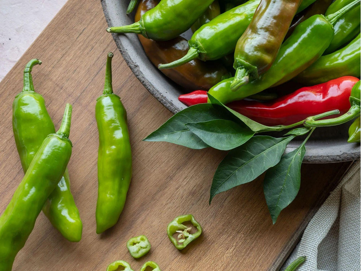 Pepperoncini Seeds – 25 Count, Mild Italian Pickling Pepper, Capsicum annuum, for Garden, Container, or Raised Bed Cultivation