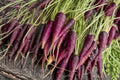 Purple Dragon Carrot Seeds – Organic Non-GMO Heirloom Root Vegetable for Garden, Raised Bed, Container Cultivation