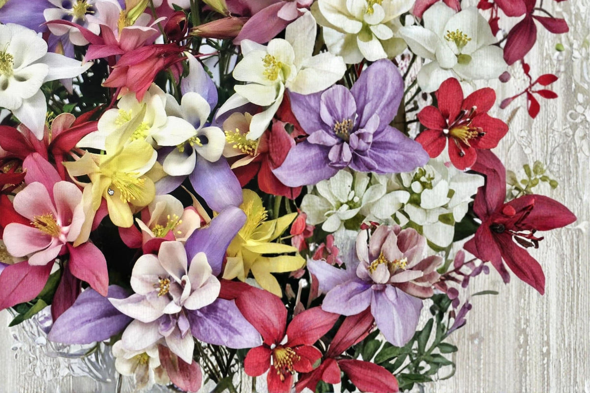 100 Seeds Columbine Aquilegia vulgaris Mix