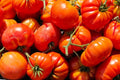 German Giant Heirloom Tomato Seeds | Pink Beefsteak, Indeterminate, 30+ Seeds, Rich Flavor, Solanum lycopersicum