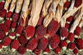 Strawberry Ruby Heirloom Corn Seeds | Ornamental Red Kernel Popcorn | Non-GMO, Organic, 30+ Seeds