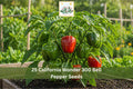 25 Seeds California Wonder 300 Bell Pepper Sweet Green Red Vegetable Garden