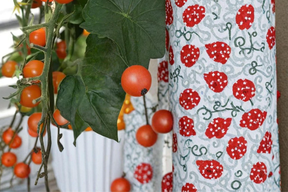 10 Seeds Sun Sugar Cherry Tomato