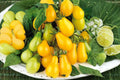 Yellow Pear Heirloom Cherry Tomato Seeds, Non-GMO, High Yield, Indeterminate, Small Pear-Shaped Fruits