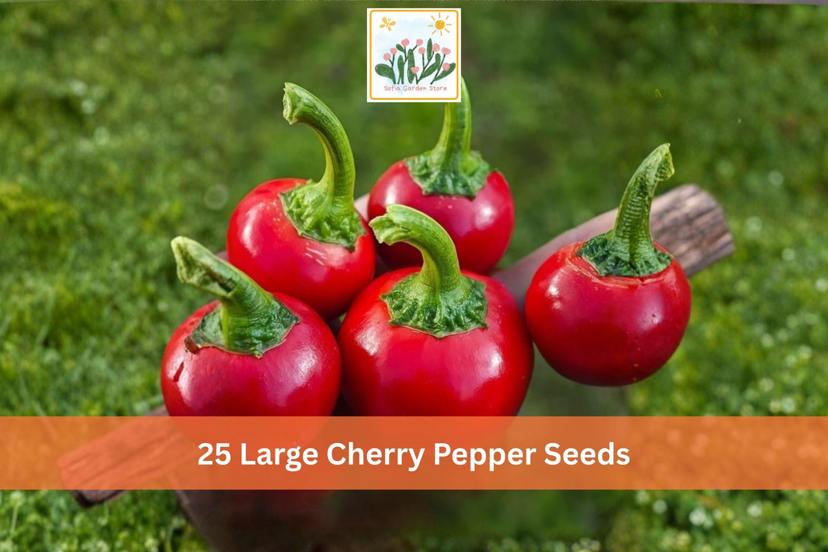 Large Cherry Hot Pepper Seeds, Capsicum annuum, Red Cherry-Shaped Fruit, Vegetable Seeds for Garden Planting