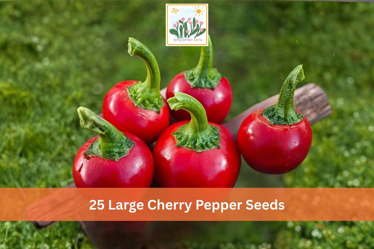 25 Seeds Large Cherry Pepper Hot Round Red Chili Vegetable Garden