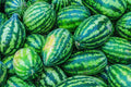 Congo Watermelon Seeds - Heirloom Non-GMO Large Red Flesh Melon, Vining Plant, 12 Seeds
