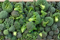 Waltham 29 Heirloom Organic Broccoli Seeds – Non-GMO, Cold Hardy, High Yield Vegetable, 1000+ Seeds