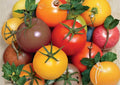 Rainbow Cherry Tomato Seeds - Heirloom Non-GMO Vegetable Seeds for Garden Planting, Solanum lycopersicum