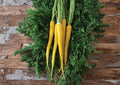 Yellow Carrot Seeds – Heirloom, Non-GMO, High Yield, Sweet Golden Roots for Garden Planting