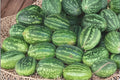 Heirloom Orangeglo Watermelon Seeds – Large Sweet Fruit, Vibrant Orange Flesh, 25+ Non-GMO Seeds for Garden Planting