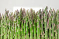 UC 157 F2 Asparagus Seeds – Non-GMO Heirloom Perennial Vegetable for Tender Green Spears, 100+ Seeds