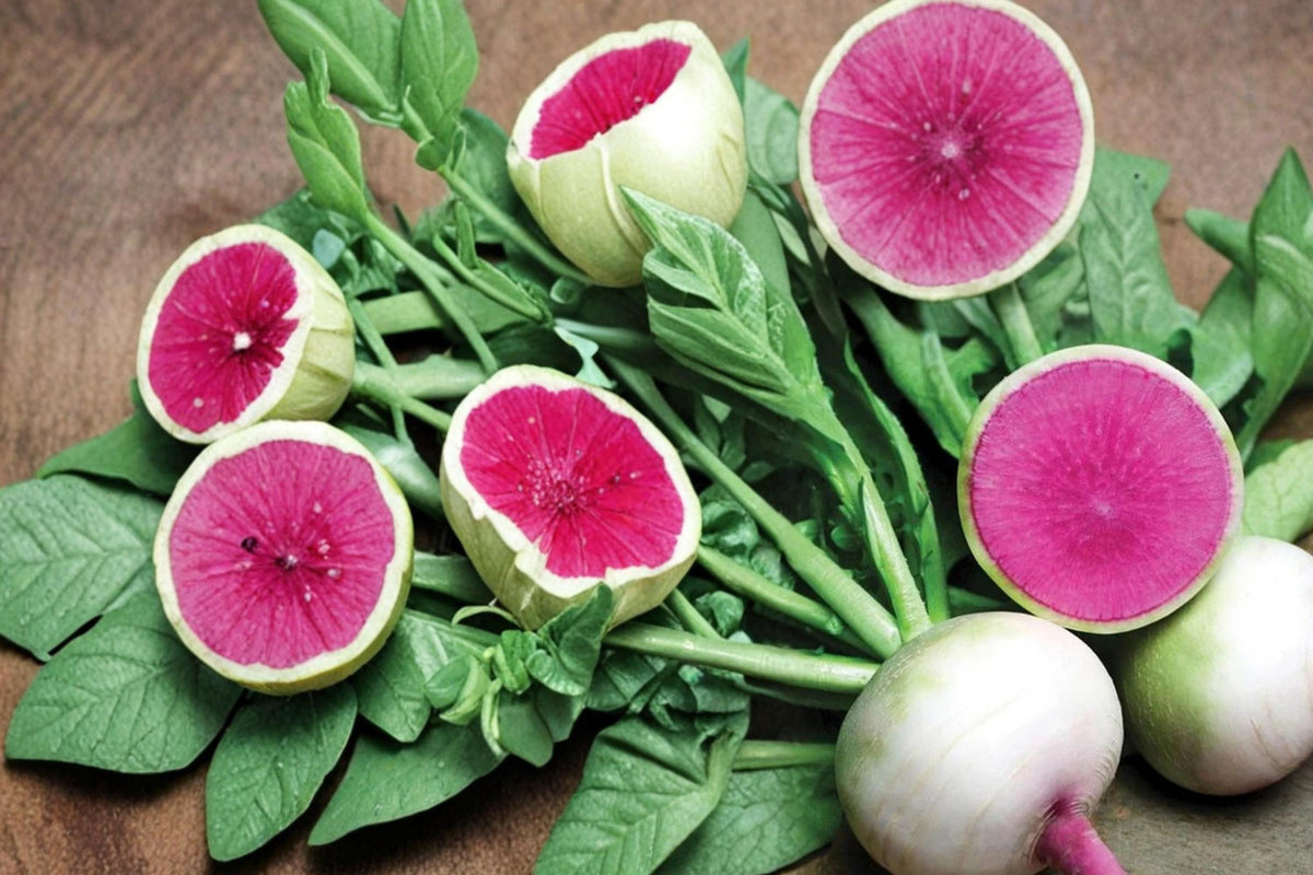 250 Seeds Watermelon Radish Raphanus sativus Heirloom Root Vegetable