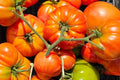 Big Zac Tomato Seeds – Rare Heirloom Giant Beefsteak, High Yield, Indeterminate, Non-GMO, 30+ Seeds