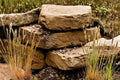 100 Seeds Hard Fescue Festuca brevipila Low Maintenance Drought Tolerant Fine Fescue Grass