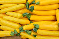Golden Zucchini Seeds - Heirloom Organic Summer Squash, High Yield Vegetable Garden, Cucurbita pepo