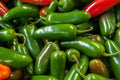 Heirloom Jalapeño Pepper Seeds, Mild Heat, High Yield, Non-GMO, Garden Chili, Capsicum annuum