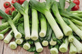 American Flag Leek Seeds, Heirloom, Non-GMO, Long White Stems, Cold Hardy, Allium porrum