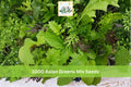 1000 Seeds Asian Greens Mix Microgreens Baby Leaf Garden Salad