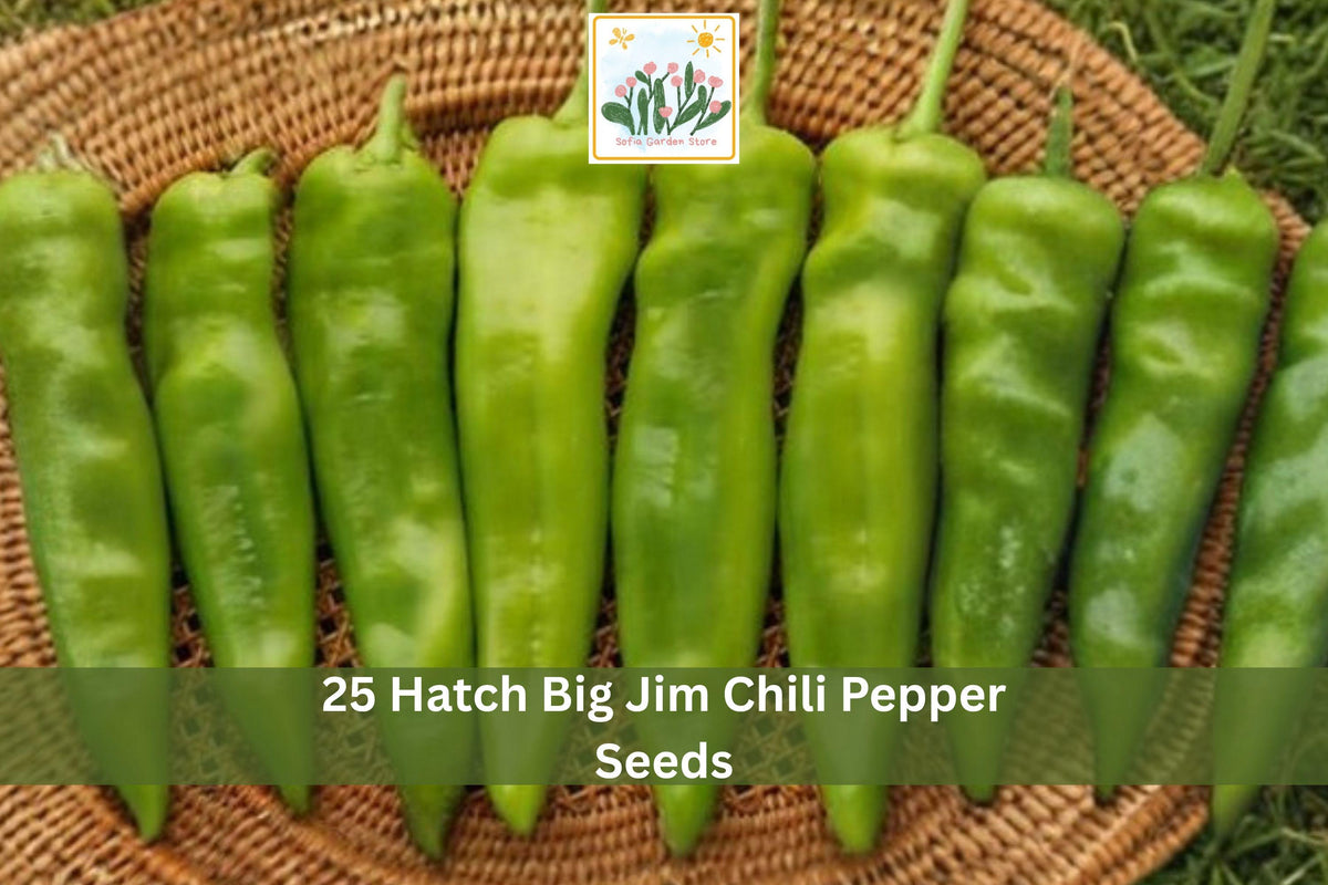 25 Seeds Big Jim Chili Pepper Hot Green Chile Heirloom Vegetable Garden