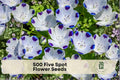 Five Spot Wildflower Seeds – Nemophila maculata, White with Purple Spots, Annual Flower, 500 Seeds for Borders & Wildflower Gardens