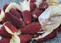 60+ Strawberry Ruby Corn Seeds - Heirloom Organic Popping Corn, Red Mini Ears, Garden Planting, Ornamental & Edible Variety