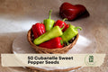 Cubanelle Sweet Pepper Seeds – Heirloom Capsicum annuum for Frying, Stuffing & Roasting, 50+ Seeds for Garden & Containers