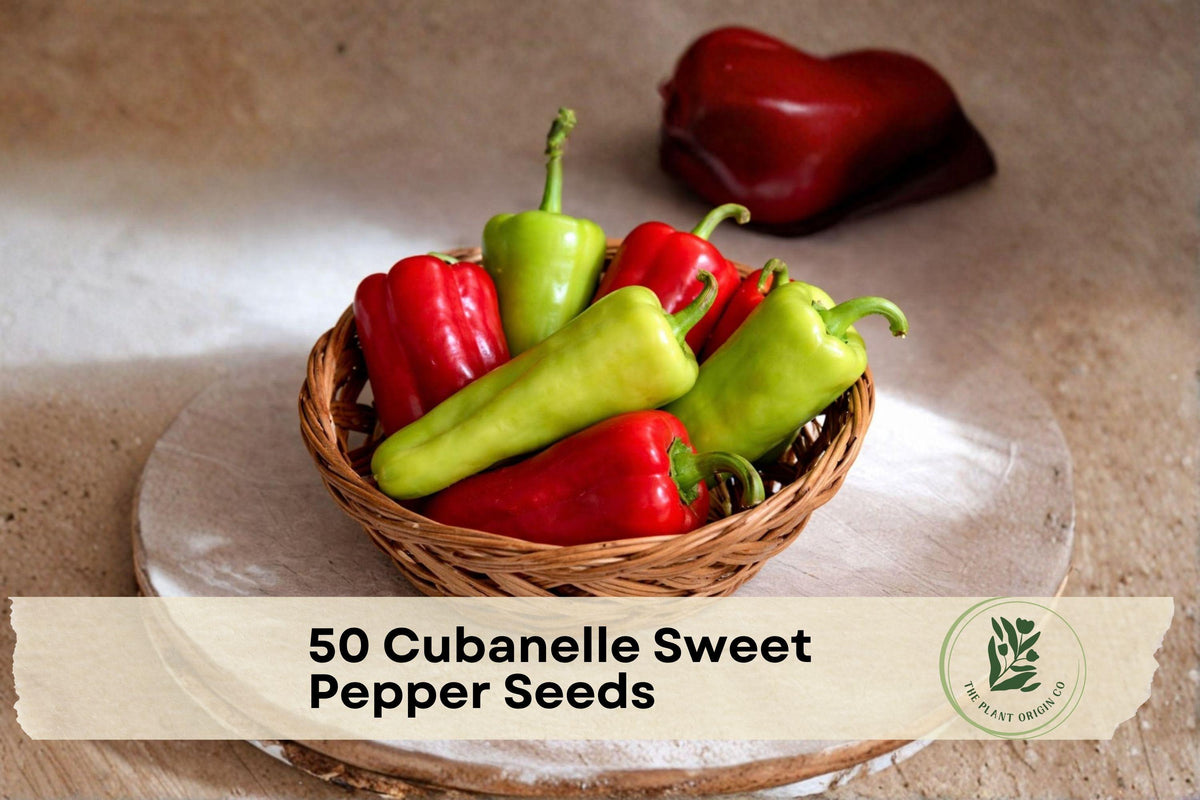Cubanelle Sweet Pepper Seeds – Heirloom Capsicum annuum for Frying, Stuffing & Roasting, 50+ Seeds for Garden & Containers