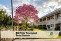 Pink Trumpet Tree Seeds - Grow Your Own Tabebuia rosea with Vibrant Pink Flowers, Fast-Growing Ornamental Tree for Tropical Gardens