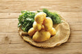 3 Pounds Seed Potatoes German Butterball Solanum tuberosum Heirloom Yellow Flesh