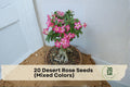 Desert Rose Seeds Mixed Colors - Adenium obesum Succulent for Bonsai & Outdoor Ornamental Plant