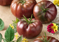 Black Brandywine Tomato Seeds | Heirloom Non-GMO Vegetable Seeds for Garden Planting | Large Dark Beefsteak Fruits