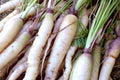 Lunar White Carrot Seeds – Heirloom White Root Vegetable – Daucus carota subsp. sativus – 150 Seeds