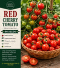 Red Cherry Tomato Seeds – Indeterminate, Sweet Fruit, Solanum lycopersicum, 90 Seeds