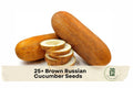 25+ Brown Russian Cucumber Seeds - Heirloom, Vining, Cucumis sativus, for Slicing & Pickling, Outdoor & Container Gardening
