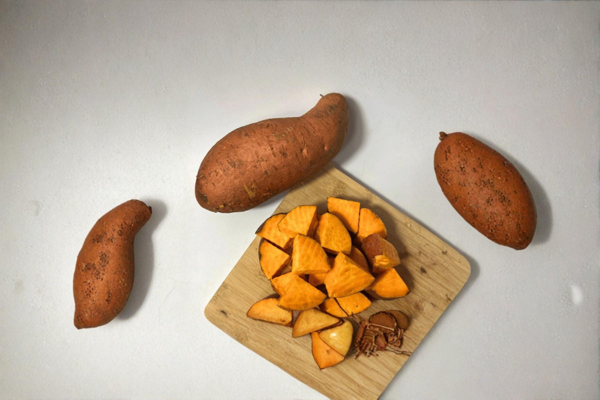 1 Beauregard Sweet Potato Slip Live Plant