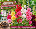 Hollyhock Seeds – Summer Carnival Mix, Althaea rosea, Flowering Biennial, Colorful Double Blooms, Garden Border Plant