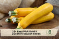Easy Pick Gold II Zucchini Seeds – Summer Squash, Bush Type, Golden Yellow Fruits, Cucurbita pepo, for Garden, Container & Raised Beds