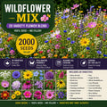 Wildflower Mix Seeds – 2000 Seeds, 20 Varieties, Pollinator & Meadow Garden, Mixed Species Blend, Full Sun, Natural Landscape