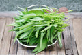 500 Seeds Water Spinach Ong Choy Ipomoea aquatica