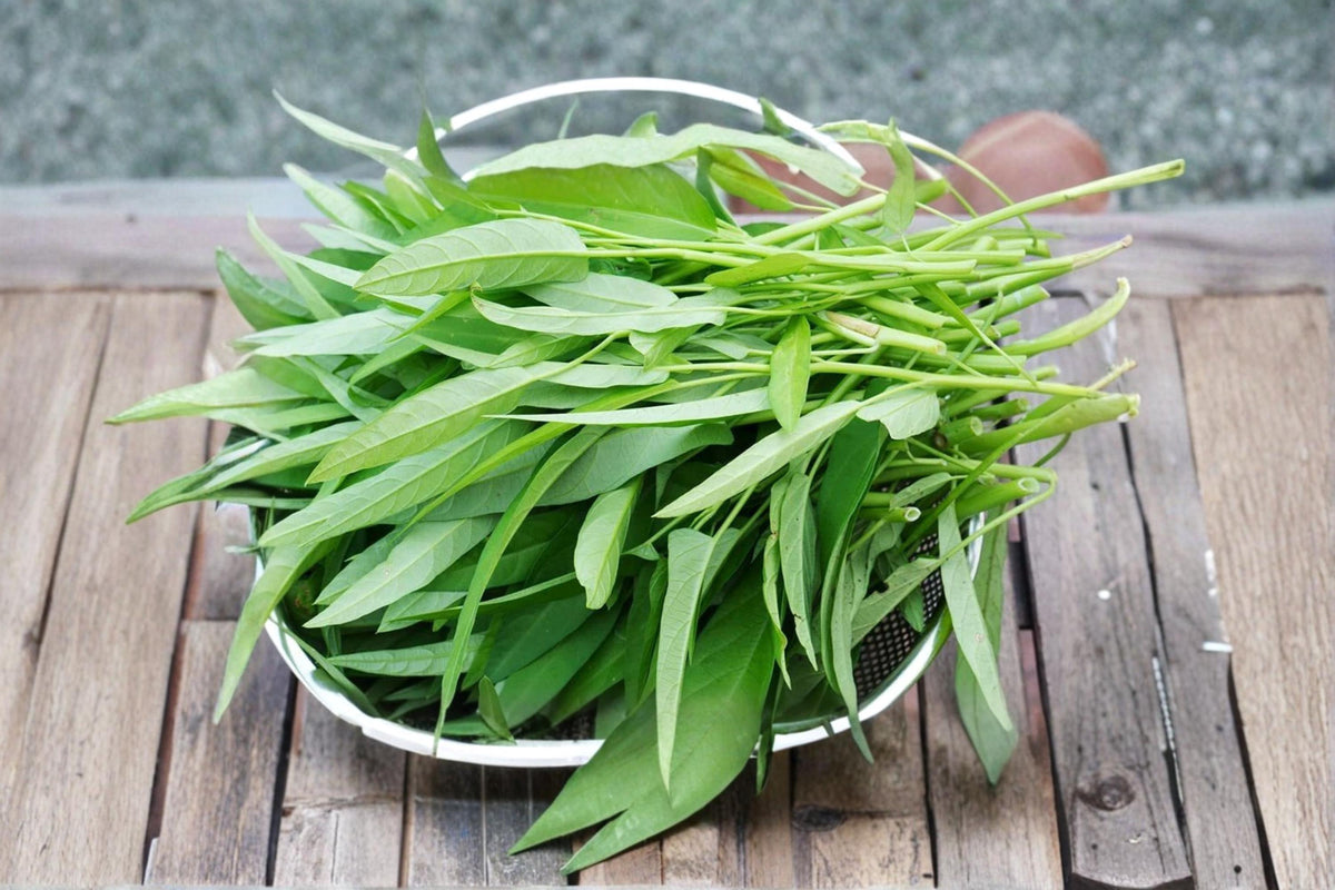 500 Seeds Water Spinach Ong Choy Ipomoea aquatica