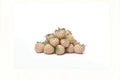 White Pineberry Strawberry Seeds – Fragaria × ananassa, Unique White Fruit, Edible Garden Berries, Ornamental Strawberry Plant