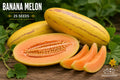 Banana Melon Seeds – Cucumis melo Heirloom Fruit Vine with Salmon Flesh, Full Sun, 25 Seeds